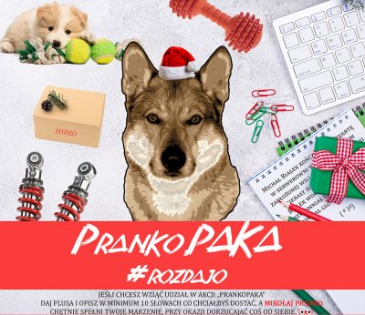 Pranko the wolfdog Pranko Paka