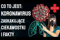 14 faktów Koronawirus to grupa rożnych wirusów