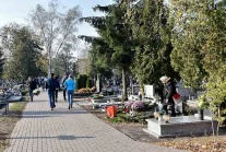 Sasin: Rząd nie planuje zamykania cmentarzy