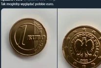 Przyjęcie Euro w Polsce to nie jest taki zły pomysł