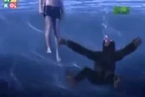 W wodzie małpy topią się.