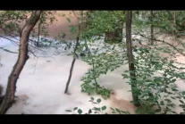 Leśna rozlewnia ścieków Anita w Działoszynie