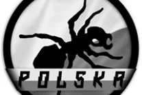 Polski Fanpage zespołu