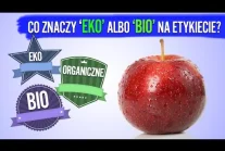 Eko, bio, organic, naturalne... co znaczą te etykiety?