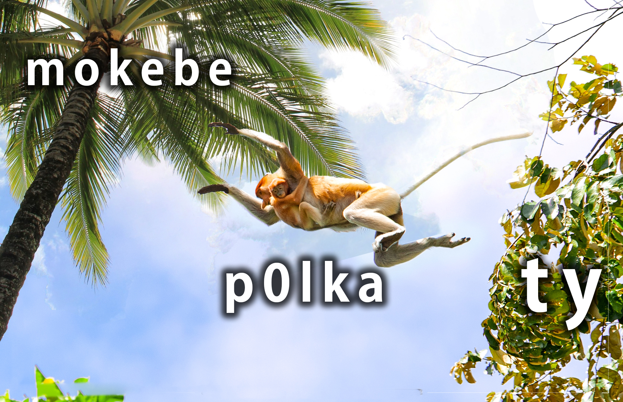 Mokebe - najlepsze znaleziska i wpisy o #mokebe w Wykop.pl