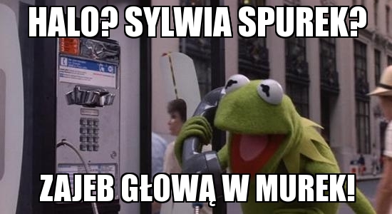 Image result for sylwia spurek memy
