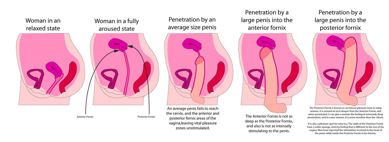 jaki rozmiar jest uważany za mały penis zapobieganie w celu normalnej erekcji