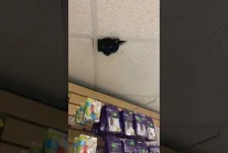 Nowa kamera monitorująca w sklepie
