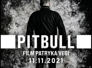 Czy Patryk Vega właśnie nakręcił nowego Pitbulla równolegle w dwóch językach?