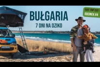 7 dni na dziko na bułgarskich plażach