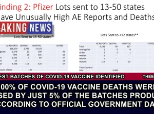 EXCLUSIVE – 100% of Covid-19 Vaccine Deaths were caused by just 5% of the...