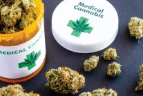Połowa Konfederacji przeciwko liberalizacji przepisów dot. medycznej marihuany
