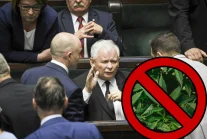 PiS nie chce ulżyć chorym i odrzucił ustawę o medycznej marihuanie w...