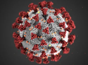 WHO: prawdopodobnym jest zbliżanie się do końca pandemii koronawirusa w Europie