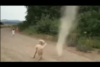 Pies powstrzymuje tornado przed formowaniem