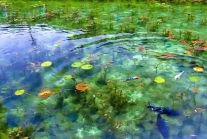 W Japonii,   znajduje się    zbiornik wodny, który nazywa się „stawem Moneta”