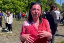 Za atakiem na ambasadora stała ukraińska dziennikarka Iryna Zemlyana.