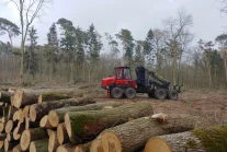 Sprostowanie manipulacyjnego i kłamliwego artykułu @MoneyPL o lasach i drewnie
