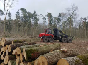 Sprostowanie manipulacyjnego i kłamliwego artykułu @MoneyPL o lasach i drewnie