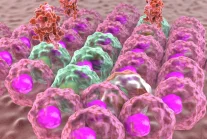 Nowy sposób leczenia cukrzycy. Odkryto, jak tworzyć nowe komórki...