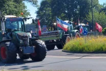 Rekordowy protest rolników w Holandii. Wściekli gospodarze mówią „dość”