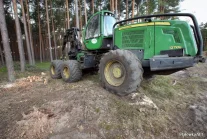 Wycięto 50 hektarów lasu Puszczy Sandomierskiej