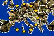 Ponad 22 miliony Europejczyków używa marihuany - Europejski Raport Narkotykowy