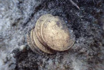 Złote monety, obrączka i nieśmiertelniki odkryte przy ekshumacji niem. żołnierzy