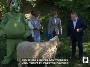 Kraków tłumaczy się z najmu owcy za 6150 zł/h 
"Fotogeniczna, z doświadczeniem"