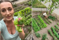 Mieszkanka Warszawy zamieniła zaniedbany trawnik pod blokiem w warzywniak.