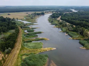 Zaskakująca zmiana poziomu wody na Odrze. Spekulacje niemieckiej gazety