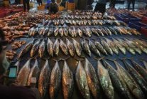 Chiny: nawet ryby są testowane na Covida