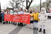 Wiec przeciwko dyskryminacji polskiego szkolnictwa na Litwie