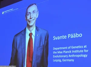 Nagroda Nobla 2022 z medycyny przyznana. Laureatem jest Svante Pääbo