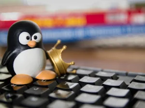Linux 6.0 - premiera nowej wersji