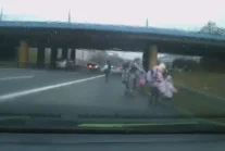 Grupa dzieci biegająca po DTŚ podczas wycieczki szkolnej?