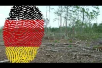 Aleksandra Rybińska: W Niemczech wytną las, aby postawić farmę wiatraków.