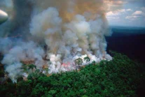 Płoną lasy Amazonii. Spłonęło już ponad 4,5mln ha.